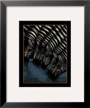 Zebra's Watering Hole by Dexter Griffin Pricing Limited Edition Print image