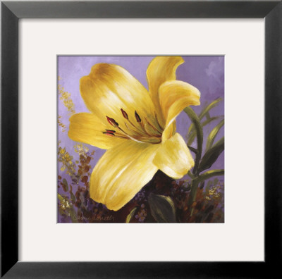 Yellow Perennial Ii by Lanie Loreth Pricing Limited Edition Print image