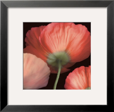 Celebration I by S. G. Rose Pricing Limited Edition Print image
