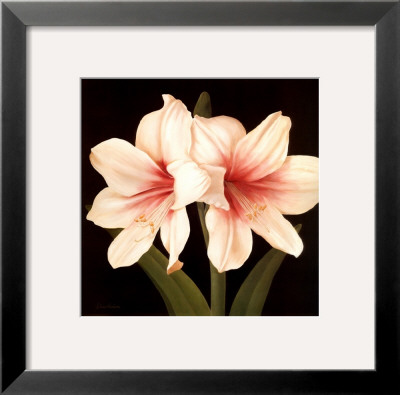 Contemporary Lily I by Gloria Eriksen Pricing Limited Edition Print image