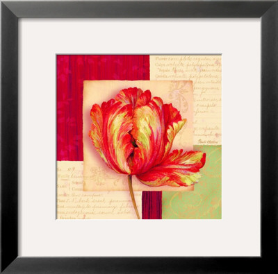 Bella Donna I by Pamela Gladding Pricing Limited Edition Print image