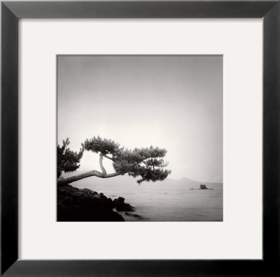 Two Branched Pine, Nakano Umi, Japan by Rolfe Horn Pricing Limited Edition Print image