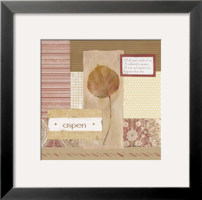 Scrapbook Aspen Leaf by Carol Robinson Pricing Limited Edition Print image