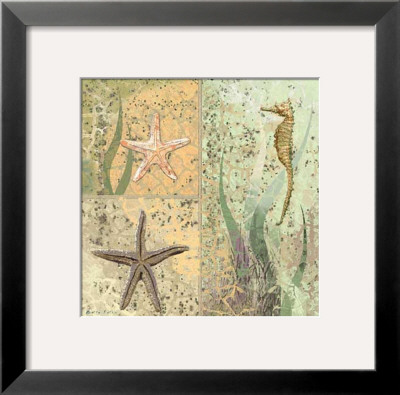 Etoile De Mer I by Pierre Fortin Pricing Limited Edition Print image