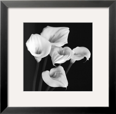 Harmony by Michael Faragher Pricing Limited Edition Print image