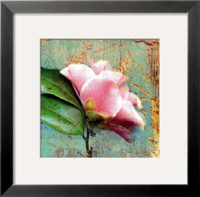 Pink Magnolia by Marion Mcconaghie Pricing Limited Edition Print image