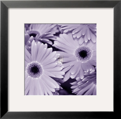 Bunch Of Flowers I by Tony Koukos Pricing Limited Edition Print image