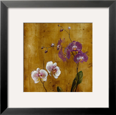 Orchid Bloom I by Georgie Pricing Limited Edition Print image
