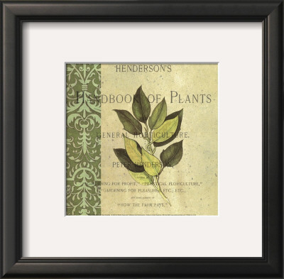 Botany Principles I by Paula Scaletta Pricing Limited Edition Print image