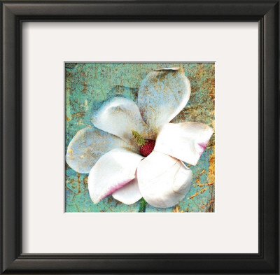 White Magnolia by Marion Mcconaghie Pricing Limited Edition Print image
