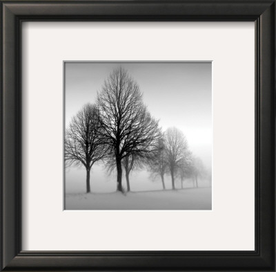 Winter Trees Iii by Ilona Wellmann Pricing Limited Edition Print image