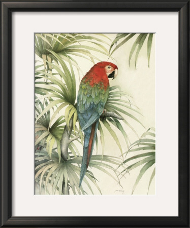 Green Winged Macaw I by Jean Cassady Pricing Limited Edition Print image