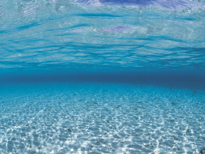 Sandy Seabed Underwater View, Indo-Pacific by Jurgen Freund Pricing Limited Edition Print image