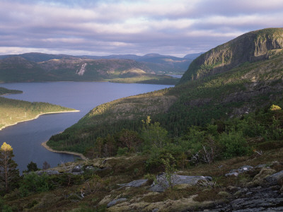 Late Evening Light Over Norwegian Fjord, Lausvnes, Nord-Trondelag, Norway, Europe by Pete Cairns Pricing Limited Edition Print image