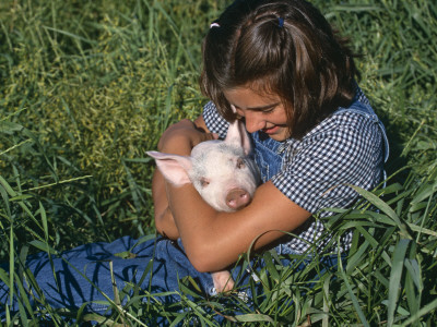 Girl Holding Domestic Piglet, Mixed Breed, Usa by Lynn M. Stone Pricing Limited Edition Print image
