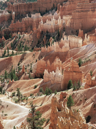 Hoodoo Sandstone Rock Formations, Bryce Canyon National Park, Utah, Usa by Richard Du Toit Pricing Limited Edition Print image