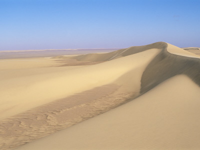 Sand Dunes Of Namib Desert, Namibia by Pete Oxford Pricing Limited Edition Print image