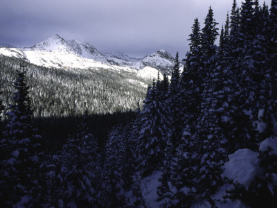 Snowy Landscape Seen From Arapahoe Peak, Colorado by Michael Brown Pricing Limited Edition Print image