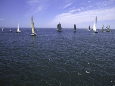 Sailboats In Ocean, Ticonderoga Race by Michael Brown Pricing Limited Edition Print image
