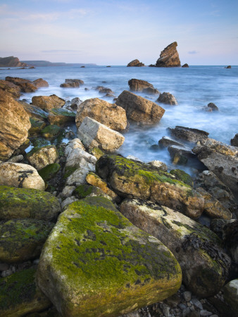 Rocky Ledges And Mupe Rocks Sea Stacks, Jurassic Coast World Heritage Site, Dorset, England by Adam Burton Pricing Limited Edition Print image