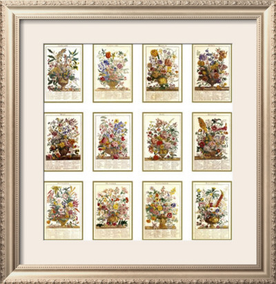 Twelve Months Of Flowers by Robert Furber Pricing Limited Edition Print image