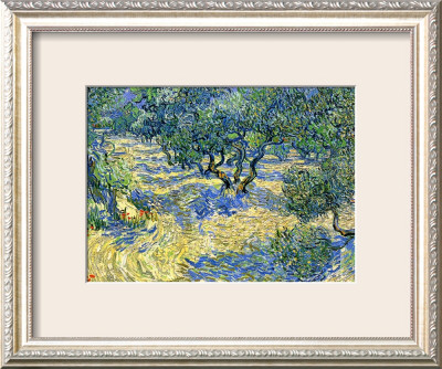 Olive Orchard, C.1889 by Vincent Van Gogh Pricing Limited Edition Print image