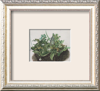 The Small Turf by Albrecht Dürer Pricing Limited Edition Print image