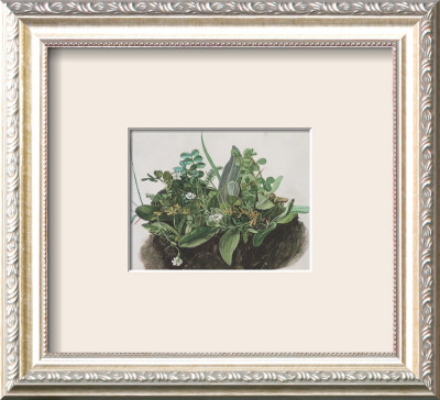 The Small Turf by Albrecht Durer Pricing Limited Edition Print image