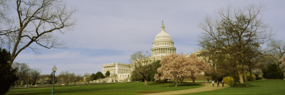 Lawn In Front Of A Government Building, Capitol Building, Washington D.C., Usa by Panoramic Images Pricing Limited Edition Print image