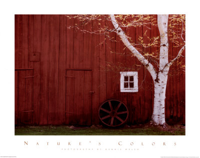 Country Barn by Dennis Welsh Pricing Limited Edition Print image