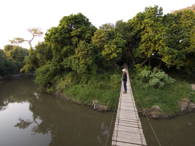Tourist On Suspension Bridge Over Gumeti River, Grumeti by Adrian Bailey Pricing Limited Edition Print image