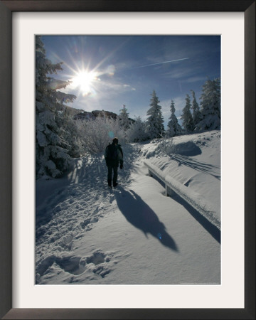 A Hiker Walks Beside Snow Covered Trees by Christof Stache Pricing Limited Edition Print image