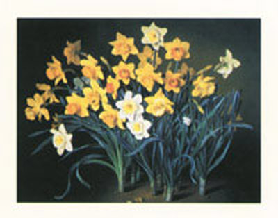 Daffodils In Bloom by Jose Escofet Pricing Limited Edition Print image