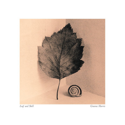 Leaf And Shell by Graeme Harris Pricing Limited Edition Print image