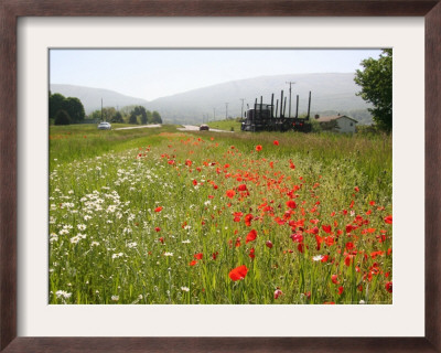 Many States Plant Wildflowers Along Busy Roadsides Or Inside Interstate Medians by Dean Fosdick Pricing Limited Edition Print image