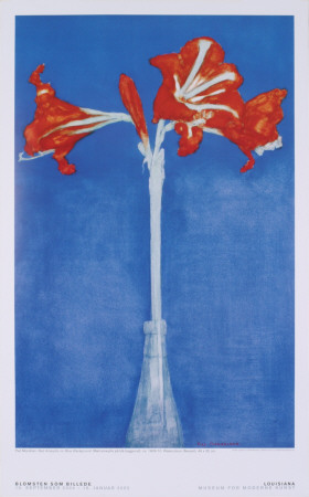 Rod Amaryllis Pa Bla Baggrund by Piet Mondrian Pricing Limited Edition Print image