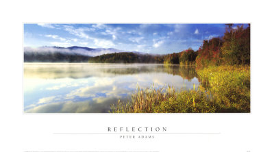 Reflection by Peter Adams Pricing Limited Edition Print image