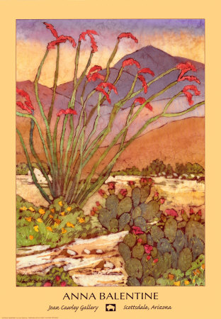 Ocotillo Morning by Anna M. Balentine Pricing Limited Edition Print image