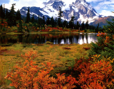 Mount Shuksan North Cascades by Larry Carver Pricing Limited Edition Print image