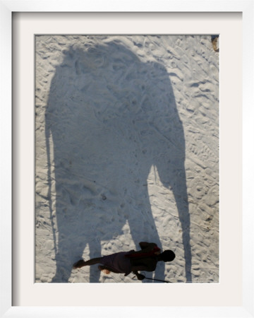 Mahout Walks Along The Shadow Of The Elephant, Patna, India by Prashant Ravi Pricing Limited Edition Print image