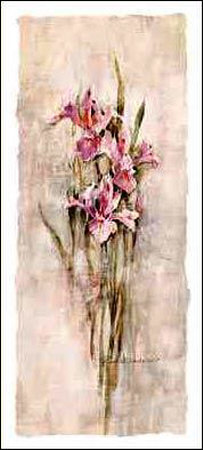 Iris by Rosalind Oesterle Pricing Limited Edition Print image