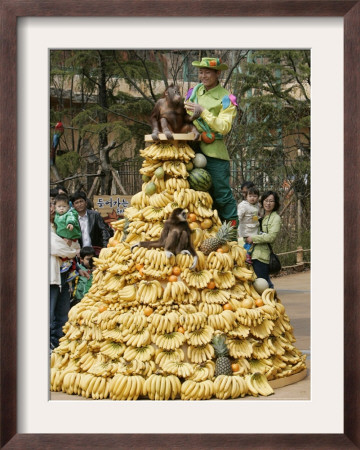 Playful Orangutans, Seoul, South Korea, C.2007 by Lee Jin-Man Pricing Limited Edition Print image