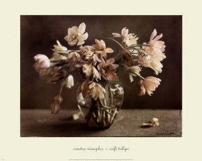Soft Tulips by Sondra Wampler Pricing Limited Edition Print image