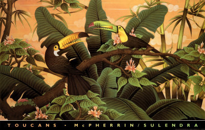 Toucans by Kevin Mcpherrin Pricing Limited Edition Print image