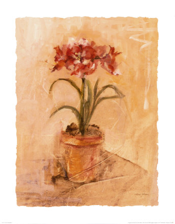 Secret Amaryllis I by Cheri Blum Pricing Limited Edition Print image