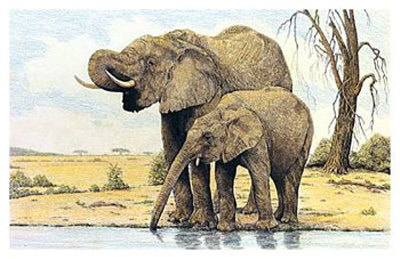 Elephants By The Waterhole by Charles L. Berry Pricing Limited Edition Print image