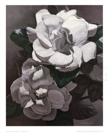 White Gardenias by Hornbuckle Pricing Limited Edition Print image