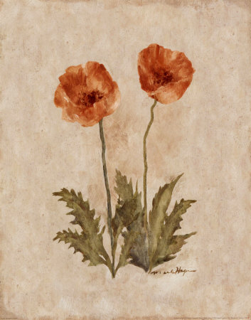 Springtime Poppies by Marilyn Hageman Pricing Limited Edition Print image