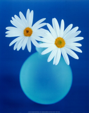 Daisies by Masao Ota Pricing Limited Edition Print image