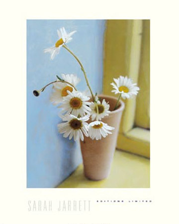 Ox-Eye Daisies by Sarah Jarrett Pricing Limited Edition Print image